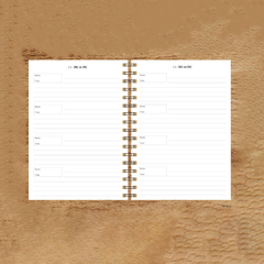 Planner Comercial Anhanguera