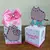 cat-pusheen