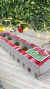 Arquivos Natal 2023 - Arquivo Digital - comprar online