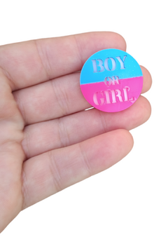 Boy or Girl - Chá Revelação na internet