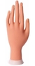 MANO DE PRÁCTICA DE SILICONA