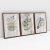 Quadro Decorativo Nórdico Verde Botânico Kit com 3 Quadros