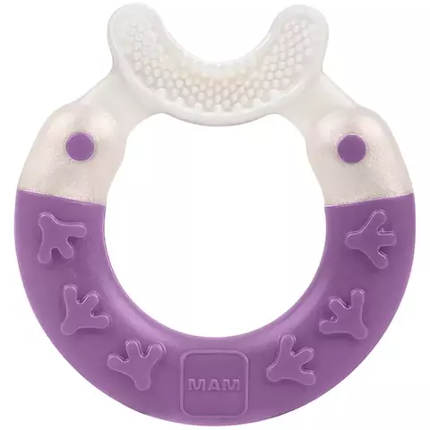 Mordedor Mam Bite e Brush Roxo Mam