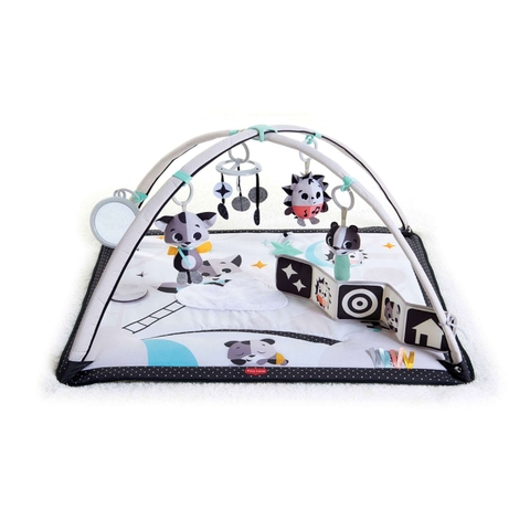 Tapete Gymini Black e White Tiny Love