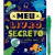 Meu livro secreto - É proibido abrir! Diário mágico