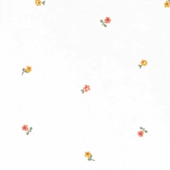 SET 5 BODIES CARTER'S "AMANECER" - Be Happy! Babies and Kids - Ropa Importada