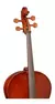 Violoncelo Hofma HCE-100 4/4 na internet