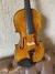 Violino Guarnerius Il Cannone 1743 (93) na internet