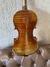 Violino Guarnerius Il Cannone 1743 (115) na internet