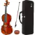 Violino Eagle VE 431 3/4