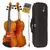 Violino Eagle VE 245 4/4 - Ajustado na internet
