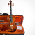 Violino Eagle VE441 4/4 - Musical Cordas