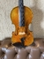 Violino Guarnerius Il Cannone 1743 (104) - comprar online