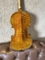 Violino Guarnerius Il Cannone 1743 (104) na internet