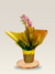 Orquídea II - comprar online