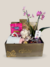 Display Especial III - comprar online