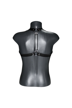 HA012 - Harness e Acessórios