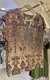 T-shirt decote v