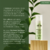 The Green Tea Serum - 0101 Natural Care