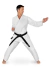 kimono karate lonado shotokan