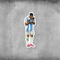 #CopaAmerica 31