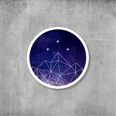 #492