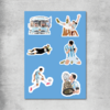 Pack #12