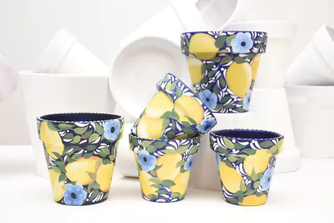 Común - Pierina Azul