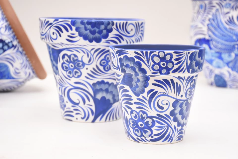 Común - Antonia blanco