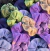CANDY SCRUNCHIE - NIJI WORLD