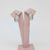Argola Trançada Jô P - comprar online