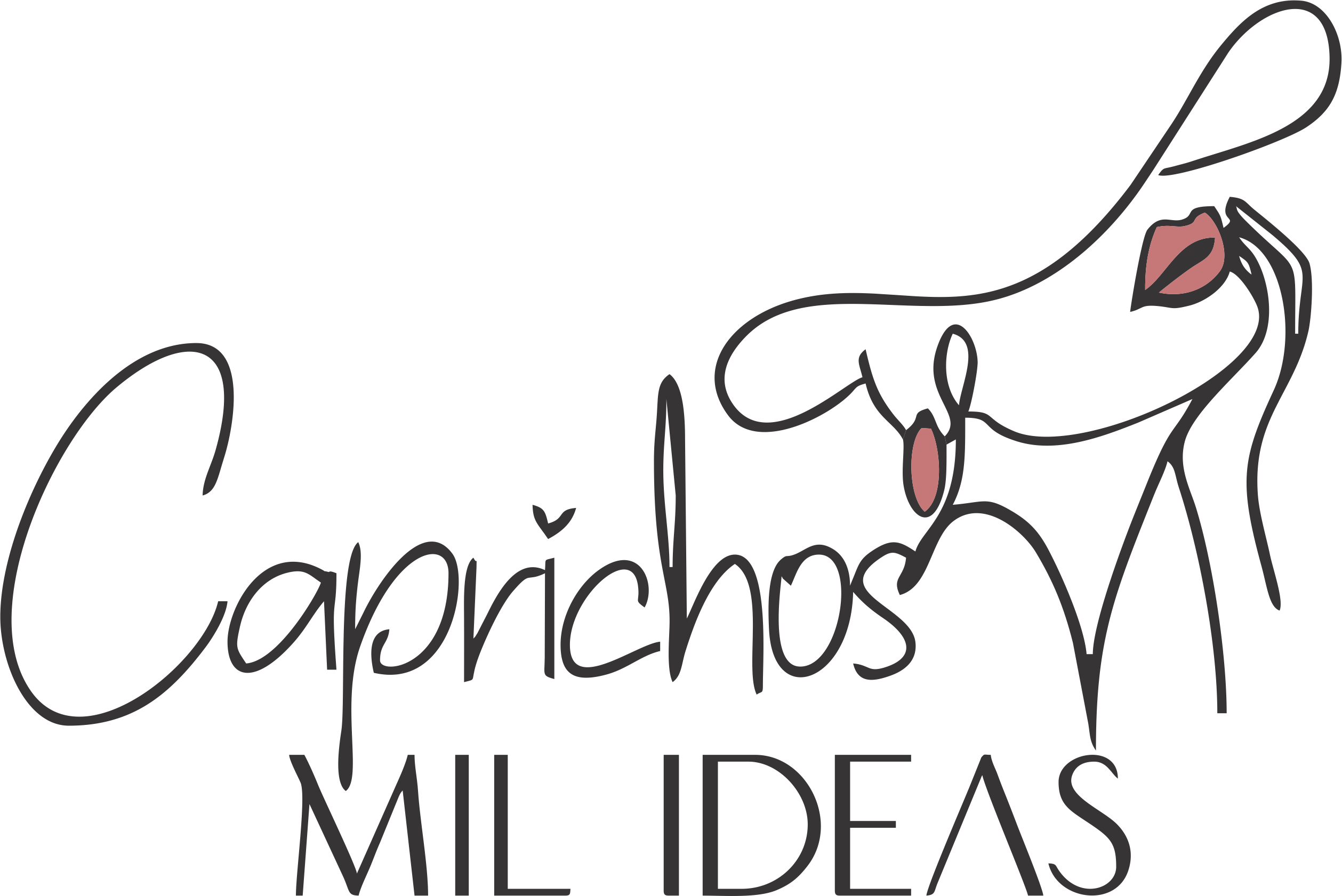 Caprichos Mil Ideas
