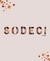 Carrusel Sodeci Moda