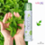 Desodorante Íntimo Aerossol Sedução 100ml - Sofisticatto ( Menta ) - comprar online