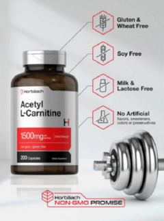 Acetyl L-carnitine 1500 Mg X 200 Caps. | Horbaach en internet
