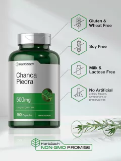 Chanca Piedra 500 Mg X 150 Capsulas - Horbaach en internet