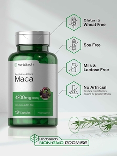 Maca 4800mg x 120 Cápsulas - Horbaach en internet