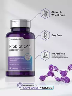 Probiotic-14 142 Mg + Prebiotic X 60 Caps | Horbaach Usa en internet