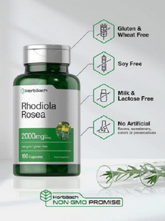 Rhodiola Rosea Root 2000mg X 180 Capsulas - Horbaach en internet