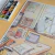 Fineart Gatinho Cozy - loja online