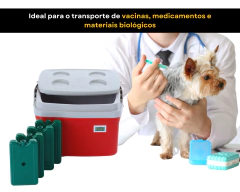 Caixa Térmica 12 L Termômetro digital Simples com Certificado de Calibração + 4 Gelos Reutilizável 400ml na internet