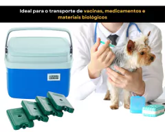 Caixa Térmica 5 litros Termômetro Digital Simples com Certificado de Calibração + 4 Gelos Reutilizável 200 ml