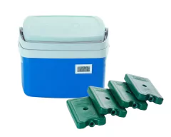 Caixa Térmica 5 litros Termômetro Digital Simples com Certificado de Calibração + 4 Gelos Reutilizável 200 ml