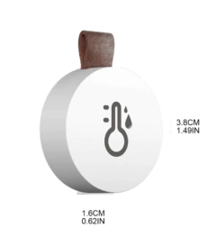 Termo higrômetro Bluetooth, Compatível Com IOS e Android - JPHETA