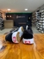 Vans UltraRange Rapidweld - Preto com Branco - loja online