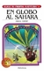9 EN GLOBO AL SAHARA ELIGE TU PROPIA AVENTURA