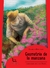 GEOMETRIA DE LA MANZANA