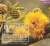 PLANTAS MEDICINALES SILVESTRES TOMO 2