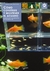 COMO CONSTRUIR MANTENER ACUARIO