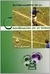 ENTRENAMIENTO COORDINACION EN FUTBOL